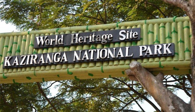 kazinranga national park